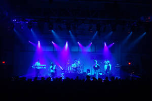 Concertroots3.JPG